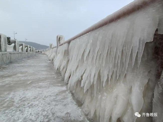 太震撼！威海烟台一夜进入“冰河世纪”